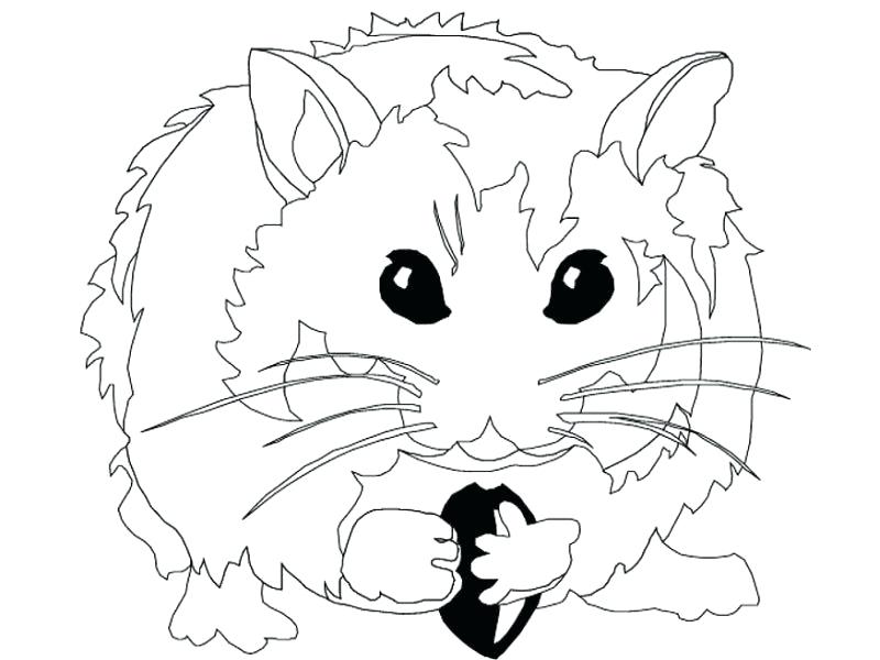 Baby Hamster Coloring Pages at GetDrawings.com | Free for personal use
