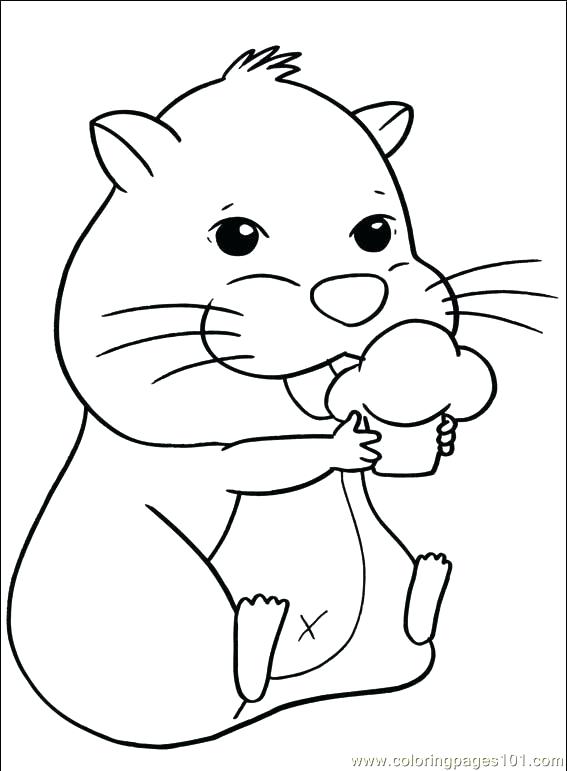 567x771 Hamster Coloring Pages Hamster Coloring Pages Selection Dwarf