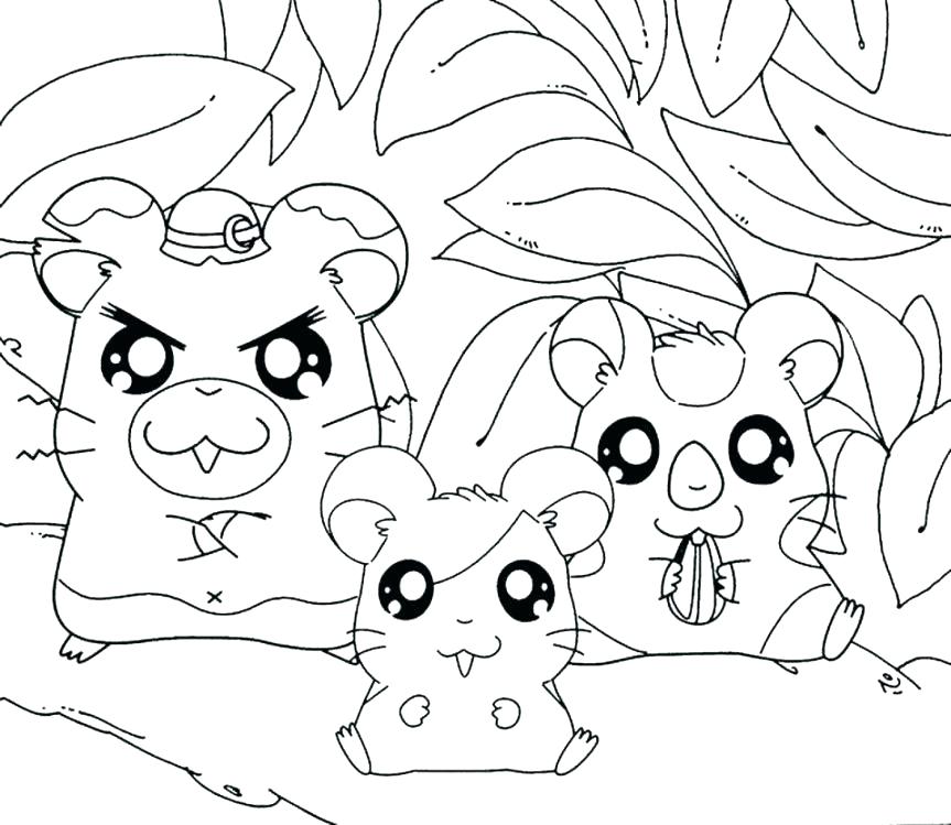 Baby Hamster Coloring Pages at GetDrawings | Free download