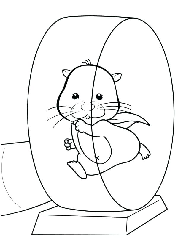 600x840 Stingray Coloring Page Hot Rod Hamster Corvette Pages Cars Best