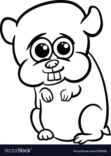 357x500 Coloring Pages Hamster Coloring Pages Chinchilla A Cute Baby
