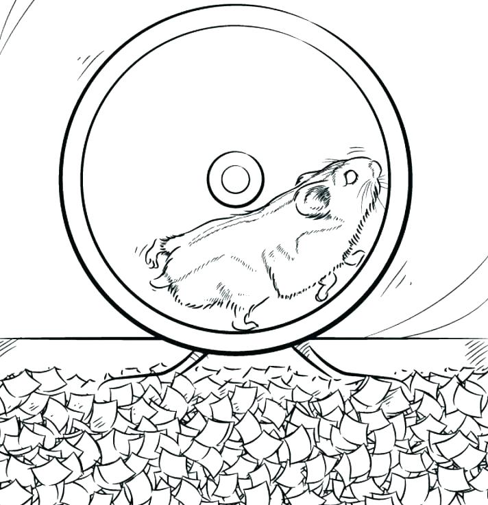Baby Hamster Coloring Pages at GetDrawings.com | Free for personal use