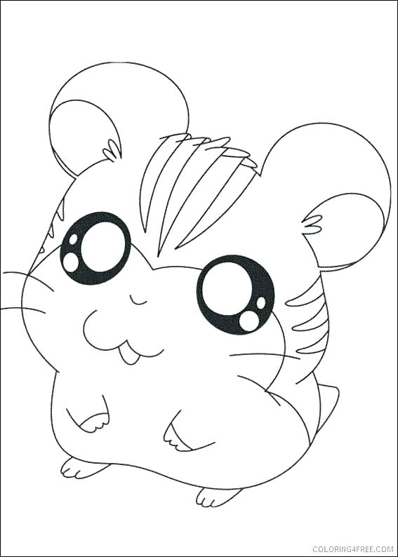 567x794 Cute Hamster Coloring Pages Cute Hamster Coloring Pages Printable