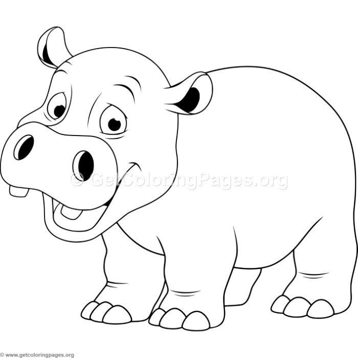 700x700 Cartoon Baby Hippo Coloring Pages