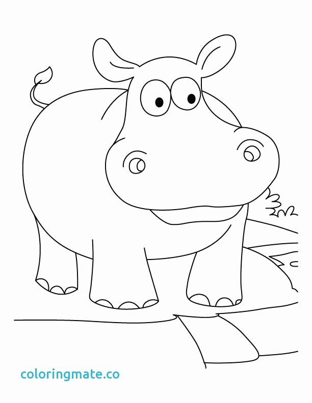 612x792 Coloring Pages Of Cute Hippos Gallery Hippo Coloring Pages Luxury