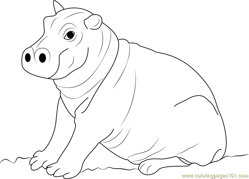 800x577 Cute Hippopotamus Baby Coloring Page