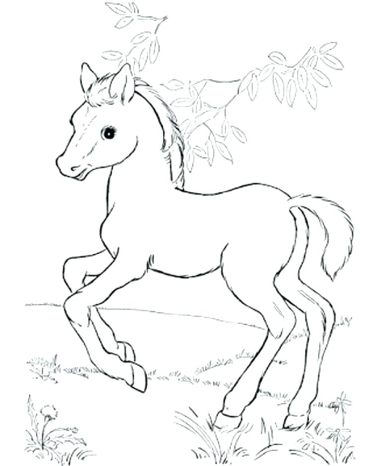 768x939 Baby Horse Coloring Pages Free Printable Horse Coloring Pages