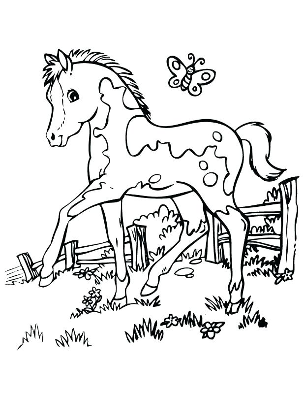 618x800 Coloring Pages Horses Of Baby Horse Throughout Design
