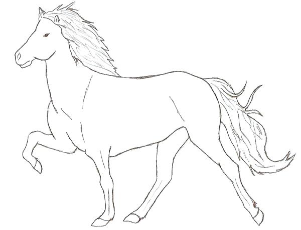 600x460 Fascinating Baby Horse Coloring Pages Horse