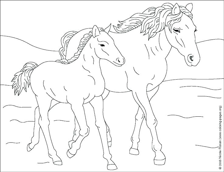 736x566 Horse Coloring Pages Free Carousel Coloring Page Carousel Coloring