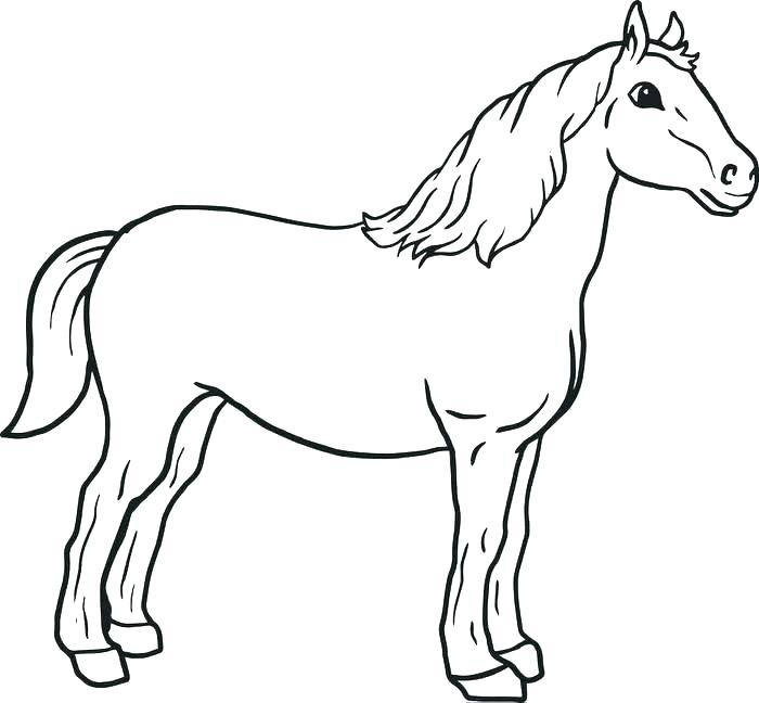 700x648 Printable Coloring Pages Of Baby Horses Kids Coloring Printable