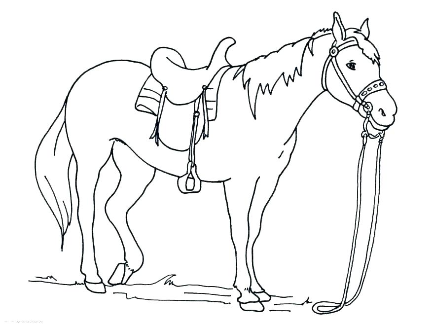 878x659 Printable Coloring Pages Of Horses Horse Jumping Coloring Pages