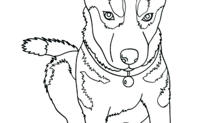 750x425 Husky Coloring Page Husky Playing With Ball Printable Coloring