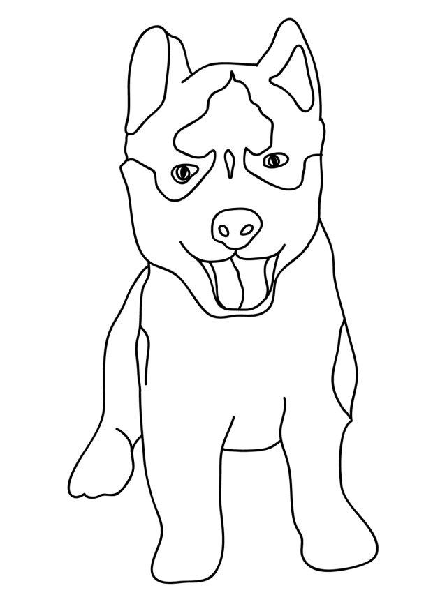 640x853 Husky Coloring Pages