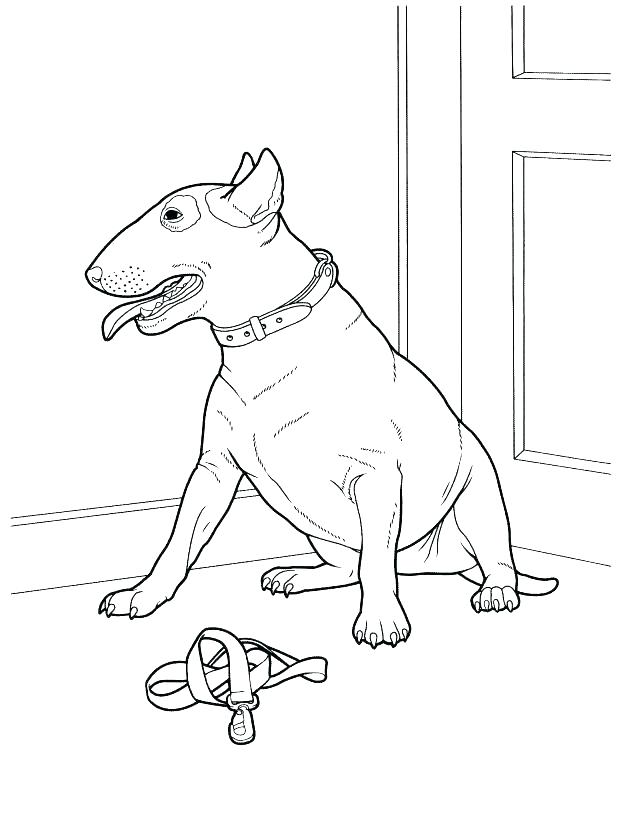 618x836 Husky Coloring Pages Baby The Dog Coloring Pages Great Husky