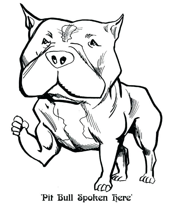 600x735 Baby Puppy Coloring Pages Husky Coloring Pages And Coloring Page
