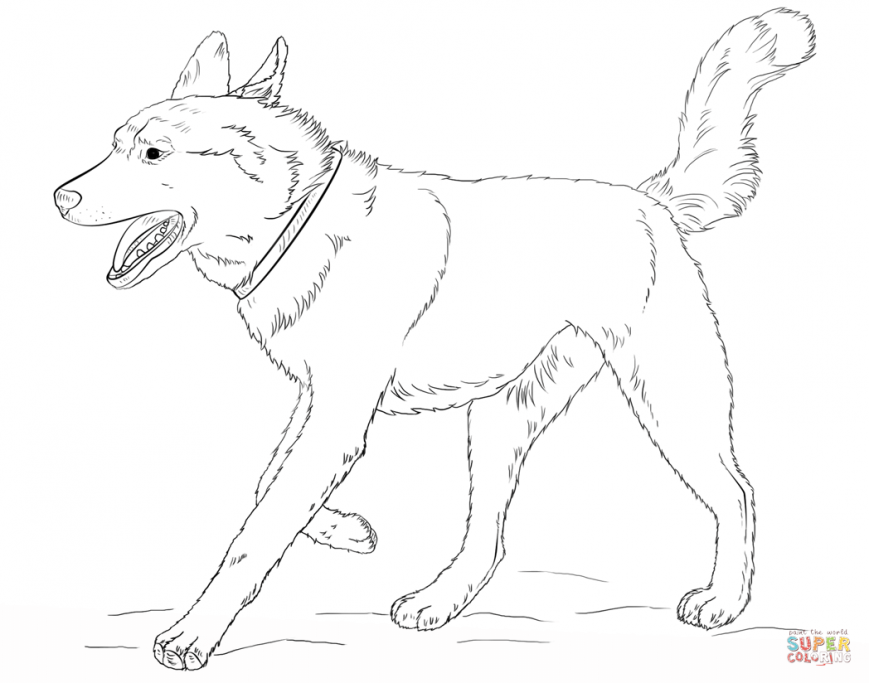 869x683 Husky Colorings Pictures Design Baby Colouring Puppy Online