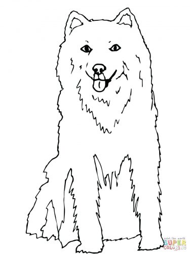 375x500 Coloring Pages Husky Coloring Pages Realistic Dog Baby Sheets