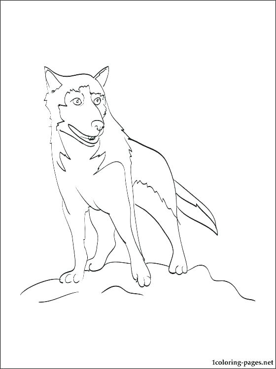 560x750 Husky Coloring Pages