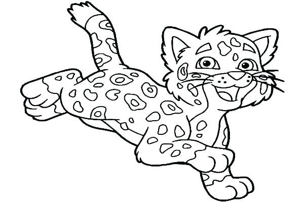 600x400 Cute Jaguar Coloring Pages Of Big Cats Cat Best Coloring Pages