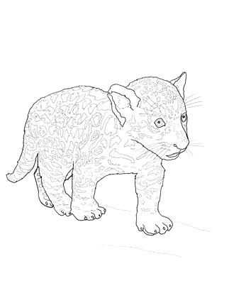 323x430 Jaguar Coloring Page Click To See Printable Version Of Baby Jaguar