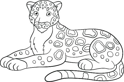 510x339 Jaguar Coloring Pages Jaguar Coloring Pages J Coloring Pages