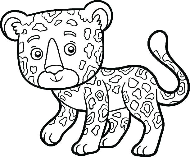 612x505 Jaguar Coloring Pages Jaguar Coloring Pages Throughout Me Free