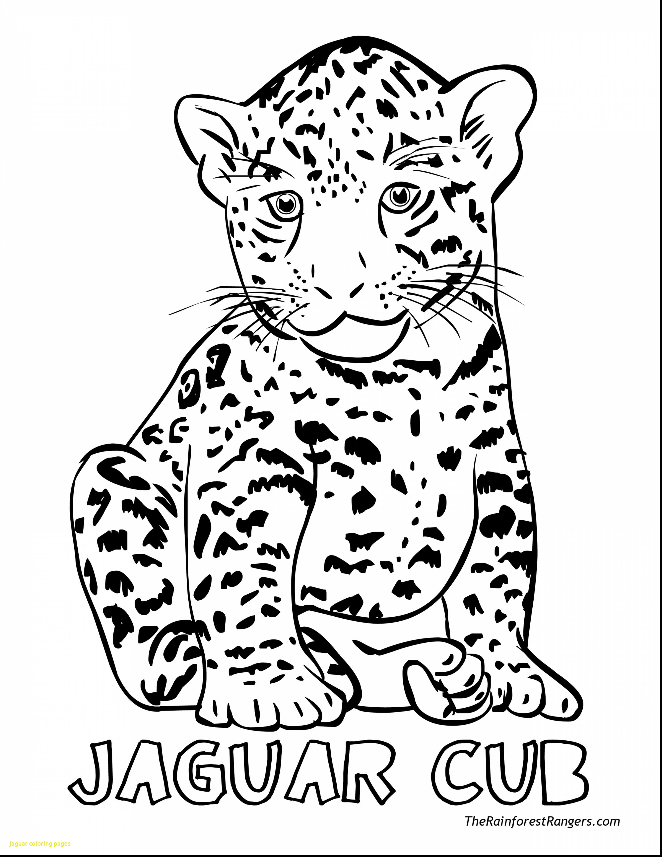 2805x3630 Ba Jaguar Coloring Pages With Fantastic Go Printable In Prepare