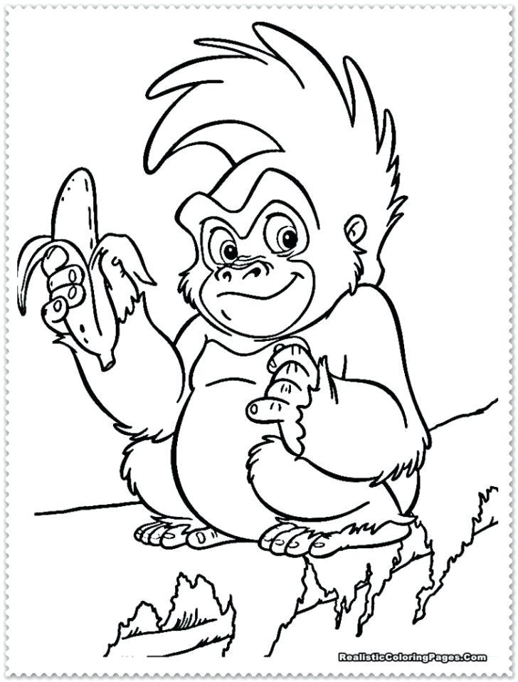 728x958 Jungle Animal Coloring Pages Jungle Animal Coloring Pages