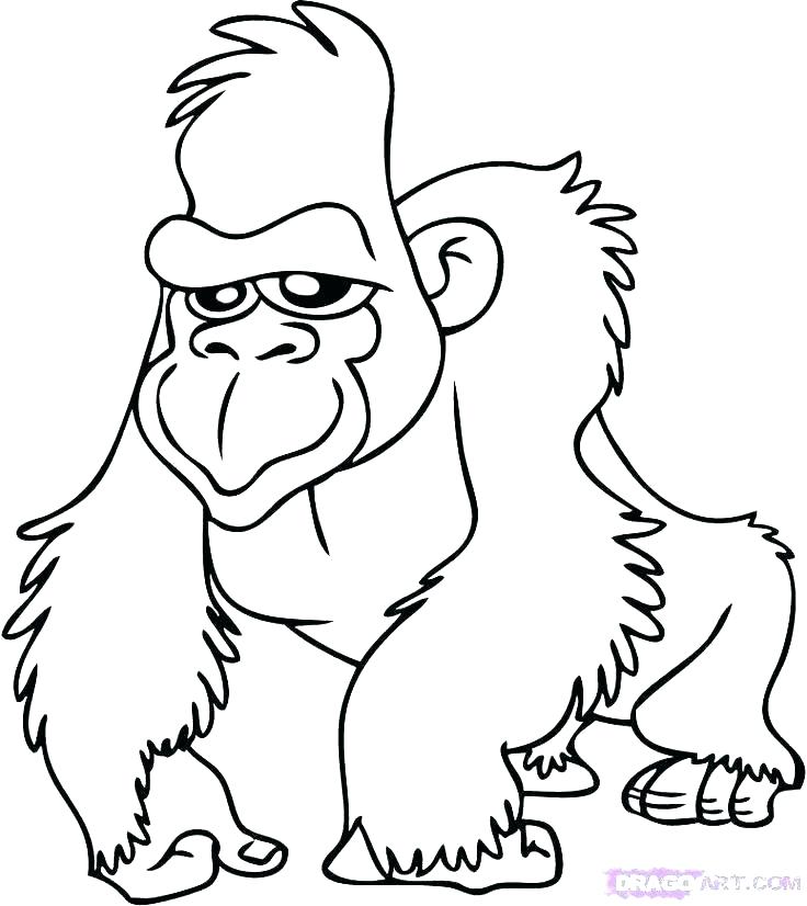736x826 Kids Coloring Videos Kids Coloring Baby Safari Coloring Pages