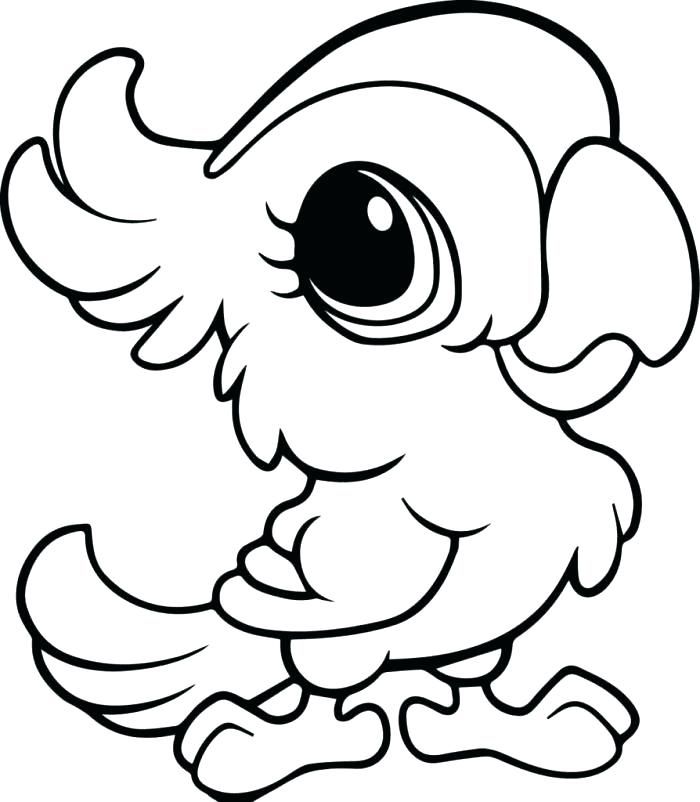 700x802 Safari Coloring Pages Mouse And An Owl In The Safari Adventure