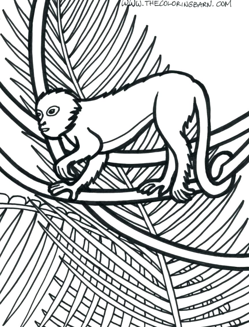 863x1131 Coloring Pages Jungle Animals Coloring Pages Plants Page Monkey