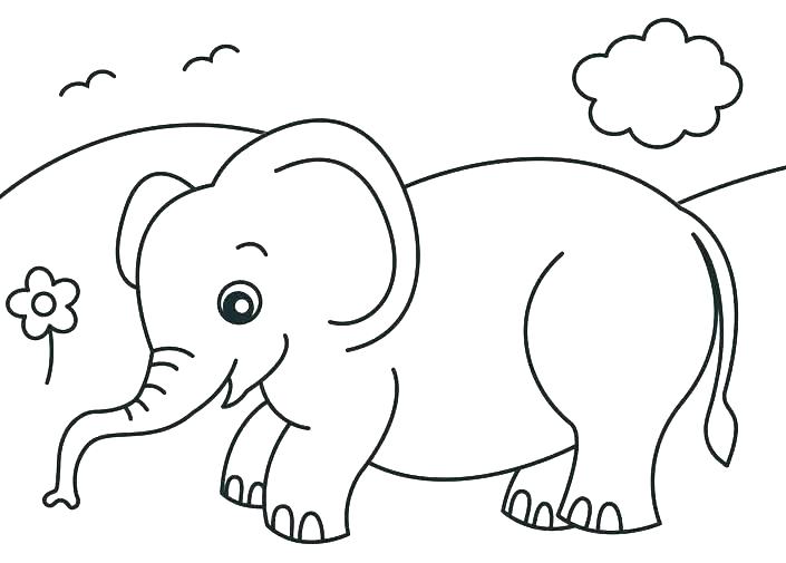 705x505 Baby Jungle Animals Coloring Pages Cute Coloring Pages Of Animals