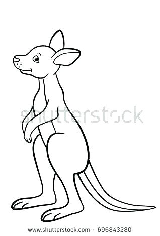 318x470 Kangaroo Color Page Coloring Pages Little Cute Baby Kangaroo