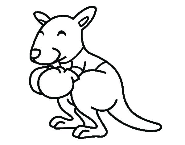 600x470 Kangaroo Coloring Page Kangaroo Coloring Page Kangaroo Color Page