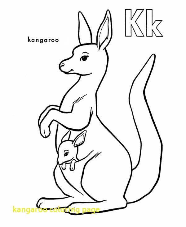 600x734 Kangaroo Coloring Page With Kangaroo Carrying Baby Kangaroo