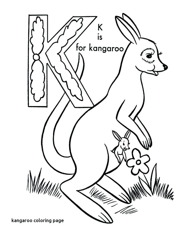 670x820 Kangaroo Coloring Pages Best Coloring Pages Images On For Kangaroo