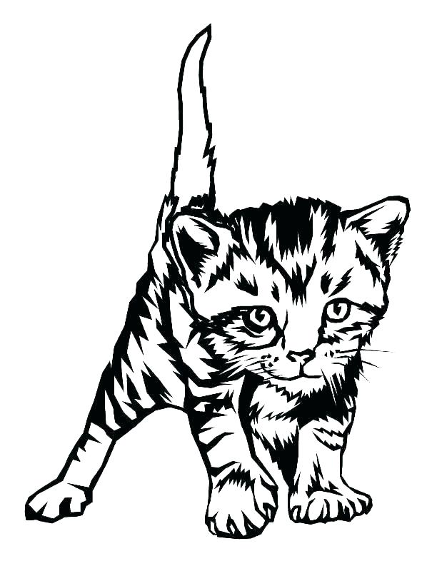 612x793 Cats Coloring Pages Free Coloring Pages Baby Cat Coloring Pages
