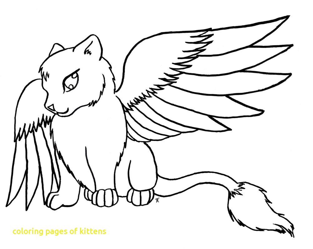 1002x797 Promising Printable Pictures Of Kittens Bargain Coloring Pages