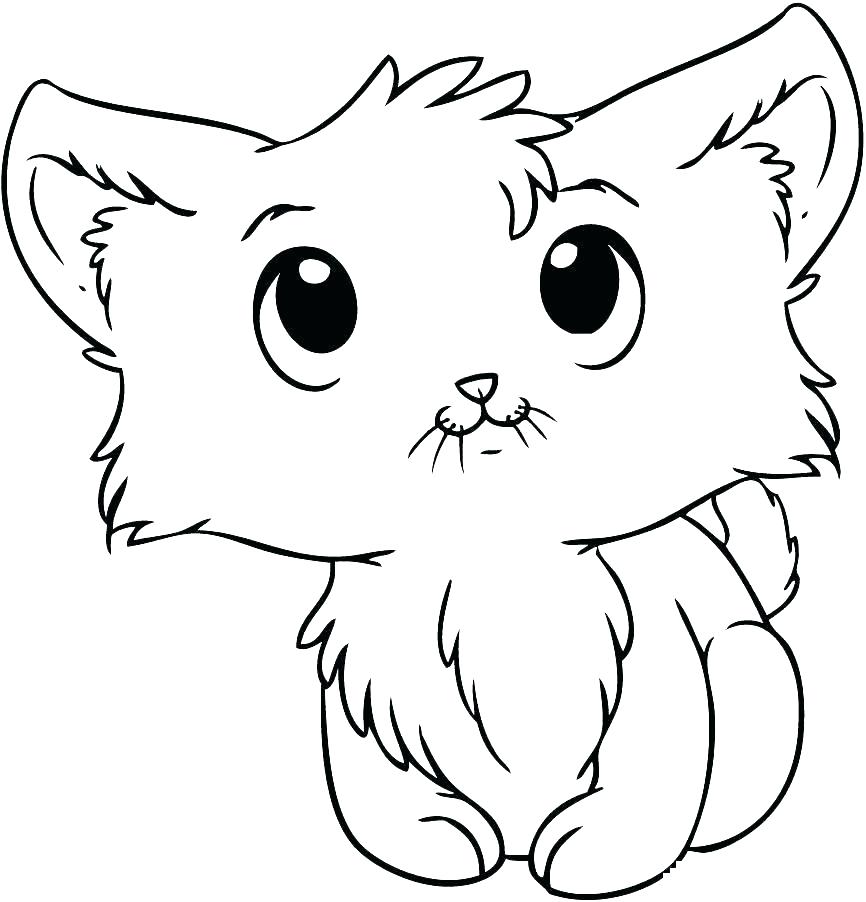 866x902 Baby Kitty Coloring Pages Kitten Tabby Cat Page Free Cute Online