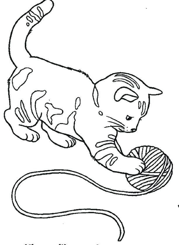 614x840 Baby Cat Coloring Pages
