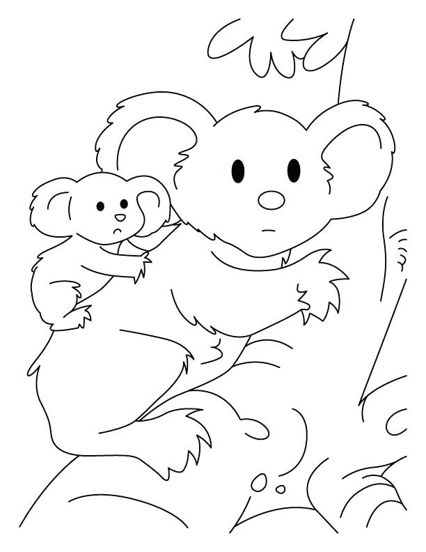 612x792 Koala Bear Coloring Pages Popular Koala Coloring Page Ideas