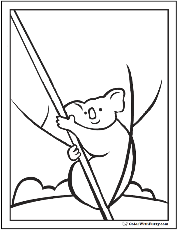 590x762 Koala Coloring Pages For Kids Hop A Ride With A Koala!