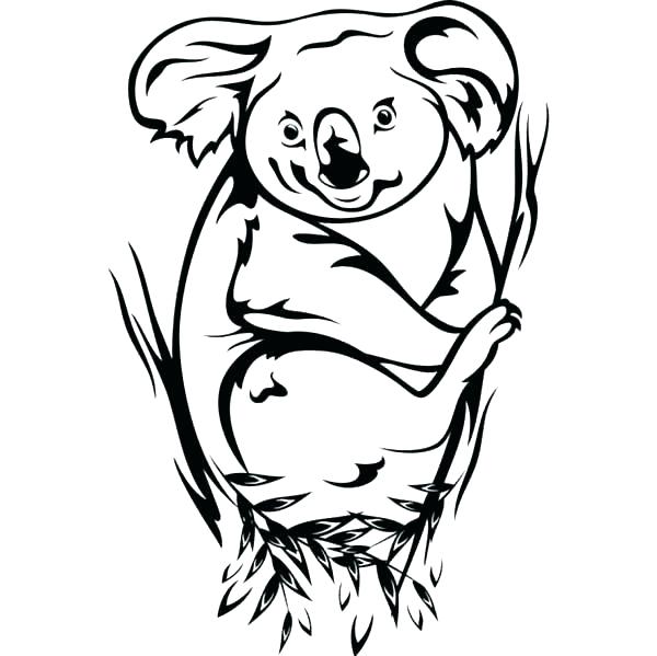 Baby Koala Coloring Pages at GetDrawings | Free download