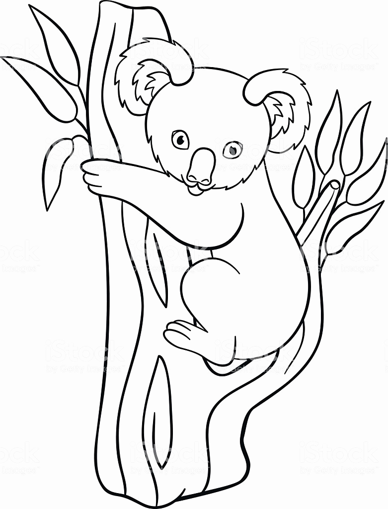 781x1024 Cute Animal Coloring Pages Baby Animals Coloring Pages Beautiful