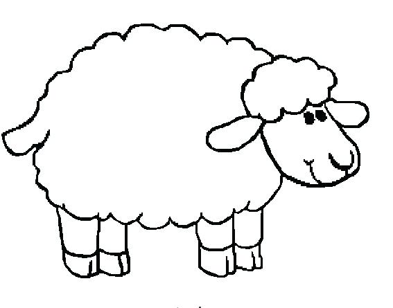 567x445 Lamb Coloring Page