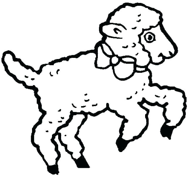 640x602 Lamb Coloring Page Image Images Baby Lamb Coloring Pages Amazing