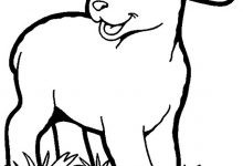 220x150 Lamb Coloring Pages