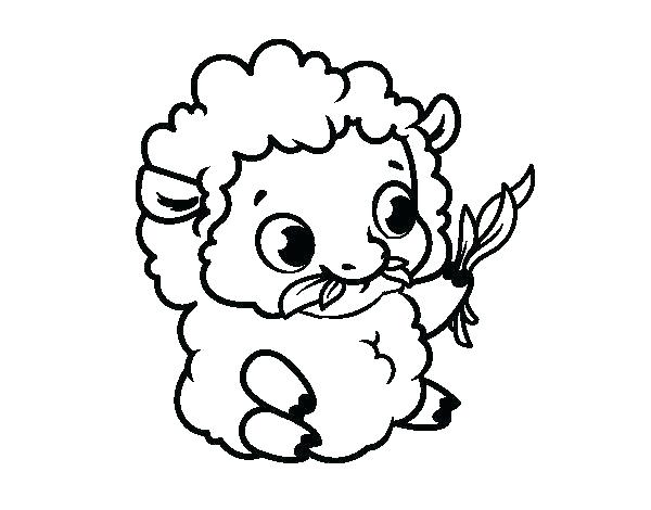 600x470 Lamb Coloring Pages Cartoon Of Had A Little Lamb Coloring Pages