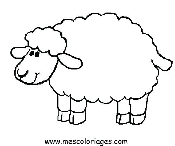 572x477 Coloring Page Lamb Coloring Page Sheep Baby Sheep Coloring Pages